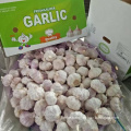 High Quality Bulk Garlic Hot Sales